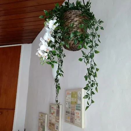 Apartmán Mar E Serra Ii *